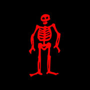 Picture Of Flag Of Pirate Edward Low